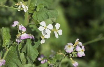 Beautiful Home in Freeport, New York 11520 - Foto 6