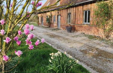 Beau soleil - Foto 16