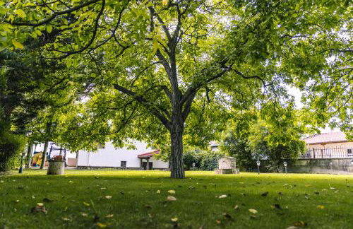 Luxury Traditional Villa - Foto 39