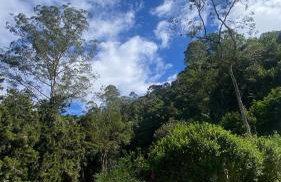 Linda casa em Mury,com riacho e lareira - Foto 41