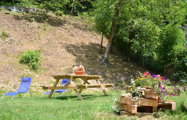 Dalla Natura la Salute - Foto 18