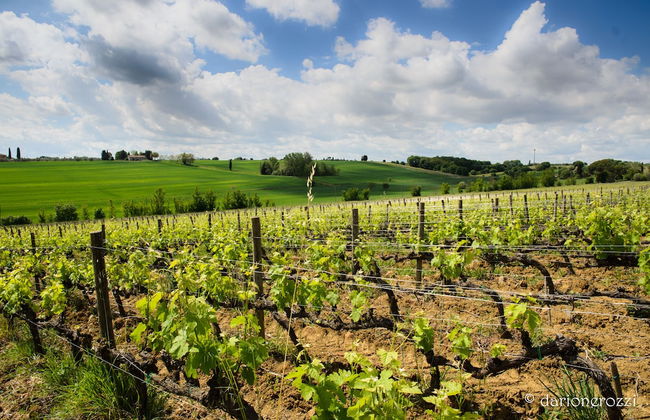 Resort Borgo Syrah - Foto 73