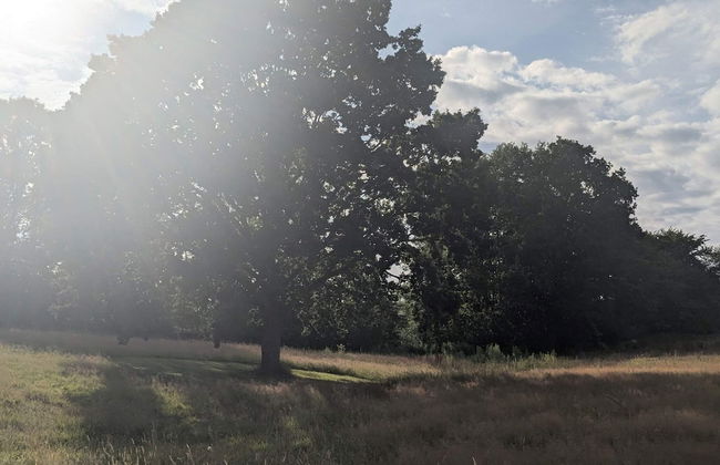 Spacious Retreat With Fjord View - By Traum Ferienwohnungen - Foto 15