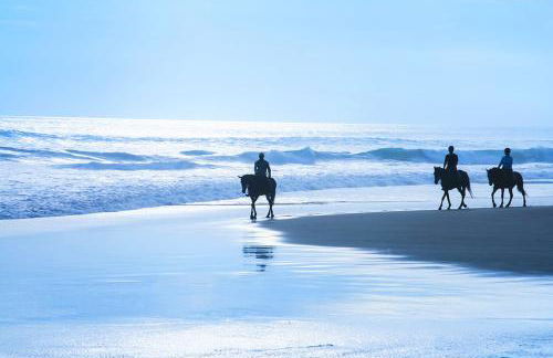 Stunning Oceanview Coastal Home Beach Trails Family Activities - Foto 18