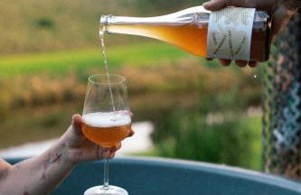 Domki na Kaszubach z banią jacuzzi - Gołubie - Sikorska Dolina III - Foto 4