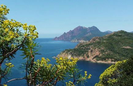 Résidence Colombara - Foto 19