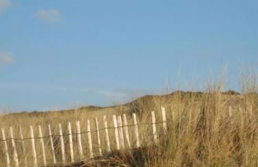 Les jardins du vivier - Foto 1