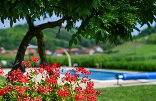 Ruralna kuca 'Villa Zagorka' za odmor sa bazenom i bočalištem - Foto 15