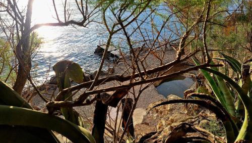 Vrachokipos - Foto 4