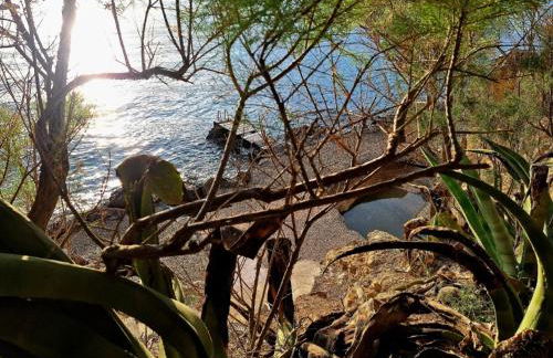 Vrachokipos - Foto 4