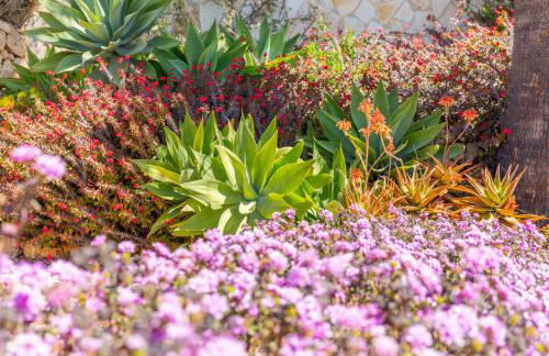 Altea Hills , Villa Noruega - Photo 49