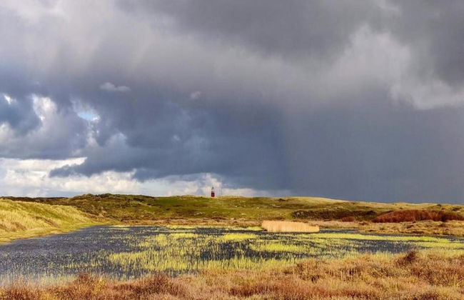 Traditional Villa With Dishwasher on Texel Near the Sea - Foto 35
