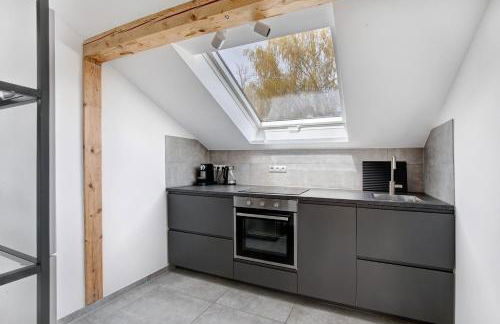 Blaustein Loft - Foto 7