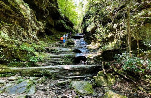 Romantic 1BR Cabin w Hot Tub Near Carbondale - Foto 36