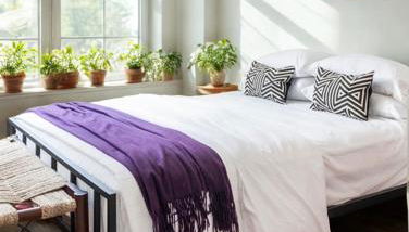 Everlasting Reality - Foto 5