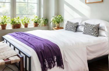 Everlasting Reality - Foto 5