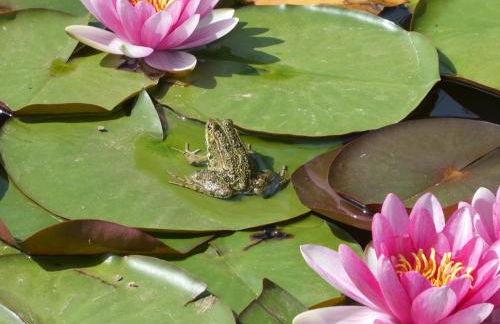 Rifugio Storico sul Mare - Foto 66