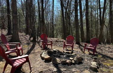 Bearly Behavin - Foto 25