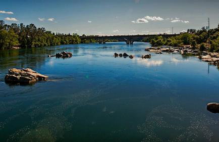 Folsom Old Town Escape • Cozy Cottage + Library - Foto 9