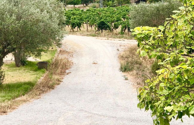 Mas Gelamà - Foto 27