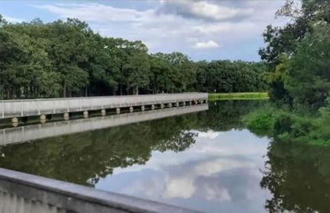 Pool house with hot tub and cinema - Foto 57