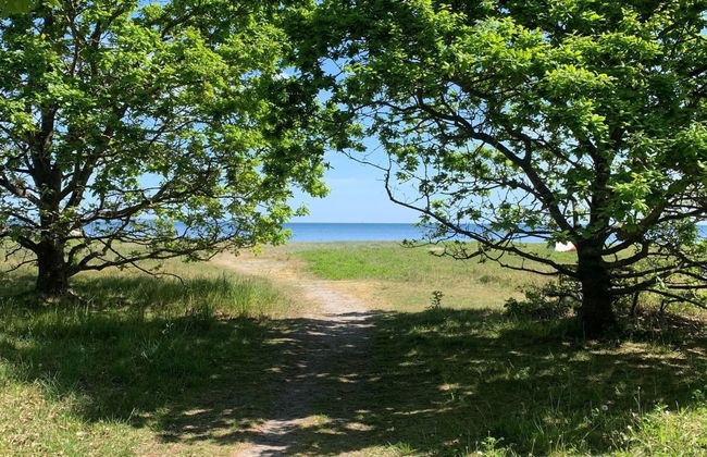 "Lelle" - 350m from the sea - Foto 16