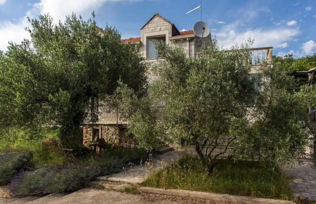 Apartments Villa Maslina - Foto 1