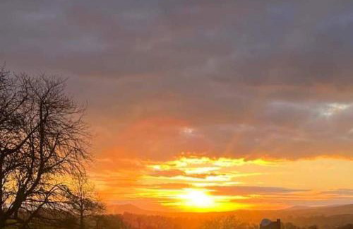 The Hummingbird - Photo 14