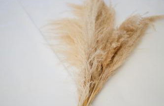 Little Corfu - Foto 31