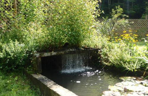 Nantahala Spiritual Retreat - Remote and Peaceful! - Foto 24