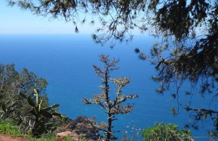 Holiday in Playa Calera - Swimming pool - Foto 55