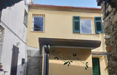 IL NIDO VERDE - Photo 1