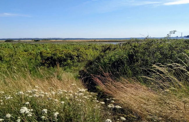 6 Person Holiday Home in Ronde - Foto 7