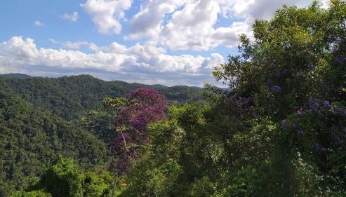 Aconchego da Montanha - chalé - Foto 4
