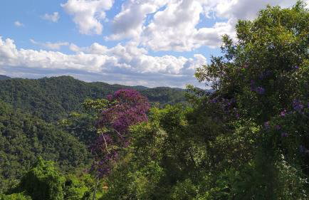 Aconchego da Montanha - chalé - Foto 4