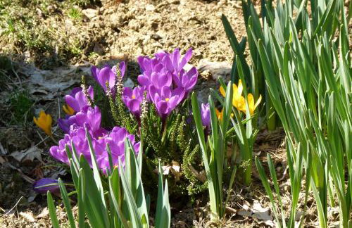 Agroturystyka u Psotki - Foto 8