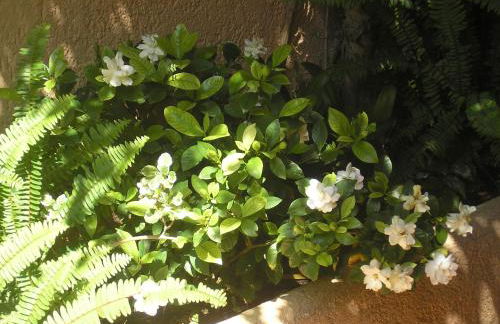 Altea Hills Villa Casablanca 23 - Foto 20