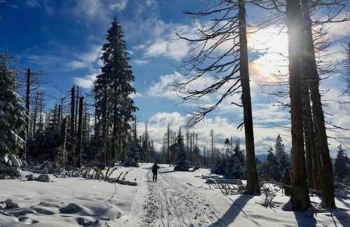 Ferienhaus Nr 32, Typ A, Ferienanlage Blauvogel, Hasselfelde, Harz - Foto 32
