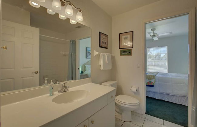 Smiling Dolphin - Foto 15