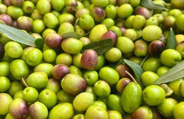 Villa Olea Mare - Mediterranean Comfort and Style - Foto 42