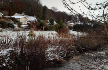 Springbank Cabin - Foto 31