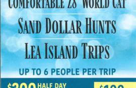 Sea Sound Blessing - Foto 4