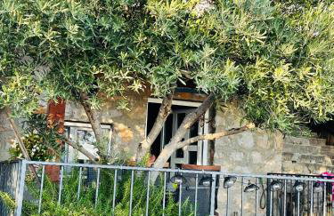 Kuća za odmor “Dida” - Photo 1