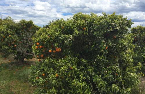 Seafront Dream Apartment - Foto 61