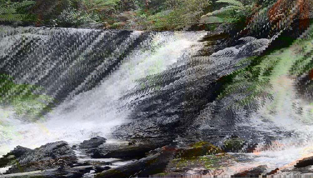 Las cataratas Russell