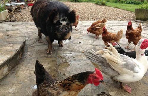 Jurassic Loft Apartment - Foto 21