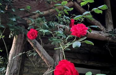 Thatched Cottage 2 Bed 2 Bath in Stour Provost near Shaftesbury and Longleat - Foto 18