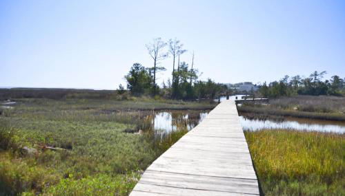 3BR Loft Cozy House Fishing Boating Views - Foto 2