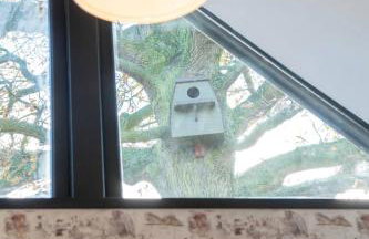 The Acorn - Roudham Norwich - Foto 25