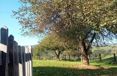 Casa Boni y Florina - Foto 47